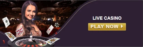5n5n live casino section displaying login, register, games, download, app, casino, and online casino